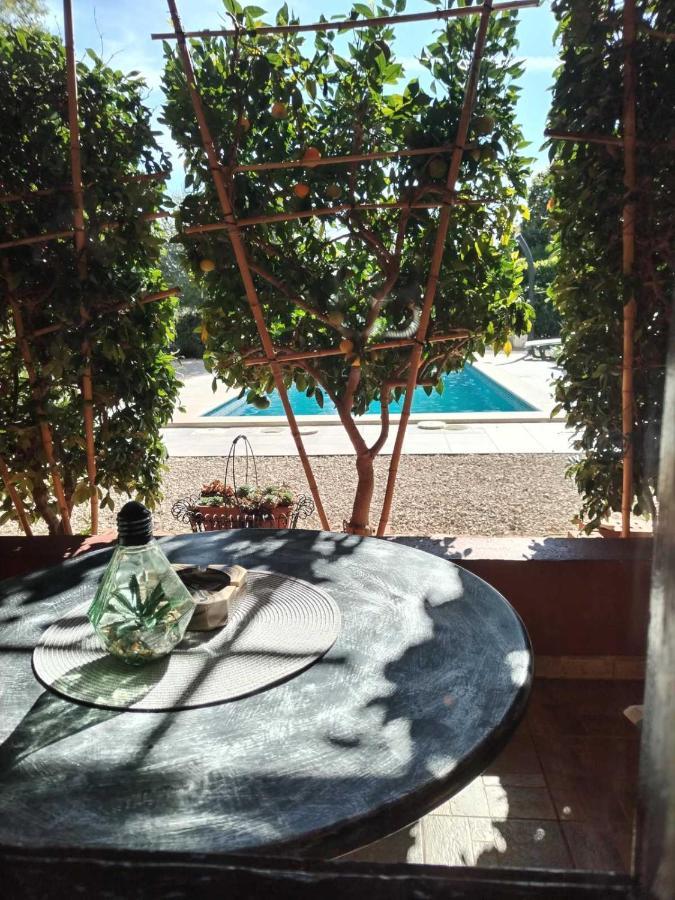 Villa Lucky Brtonigla Dış mekan fotoğraf