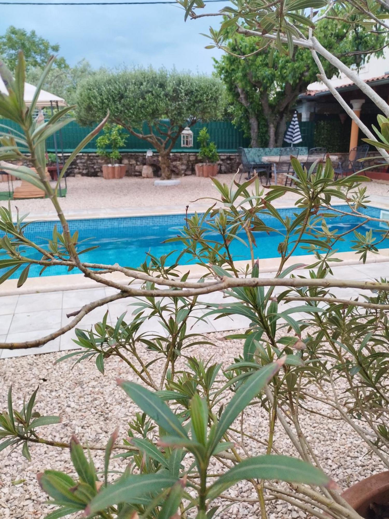 Villa Lucky Brtonigla Dış mekan fotoğraf